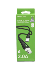 USB-кабель Borofone BX100 TYPE-C