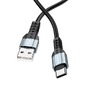 USB-Кабель Borofone BX64 