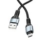 USB-Кабель Borofone BX64 